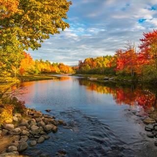 Autumn leaves river wallpaper