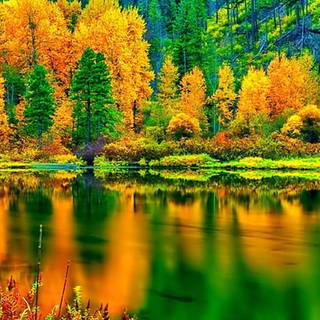 Autumn leaves river wallpaper