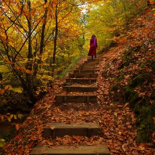 Autumn leaves stairs wallpaper