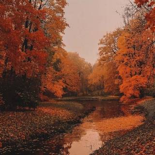 Autumn leaves river wallpaper