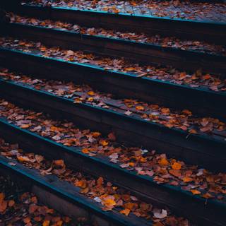 Autumn leaves stairs wallpaper