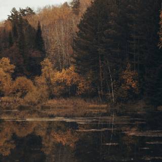 Dark academia winter desktop wallpaper