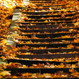 Autumn leaves stairs wallpaper
