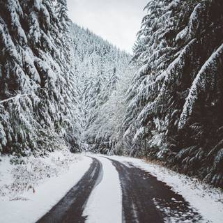 4k road winter wallpaper