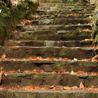 Autumn leaves stairs wallpaper