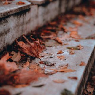 Autumn leaves stairs wallpaper
