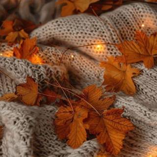 Autumn aesthetic mobile wallpaper
