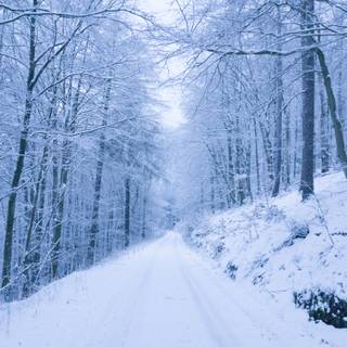 4k road winter wallpaper