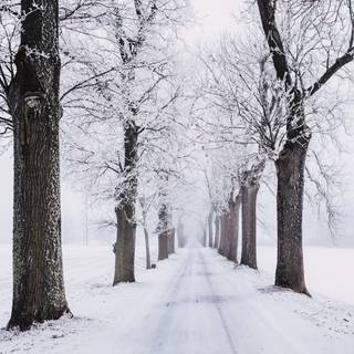 4k road winter wallpaper