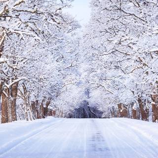 4k road winter wallpaper
