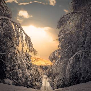4k road winter wallpaper