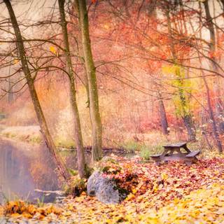 Autumn leaves river wallpaper