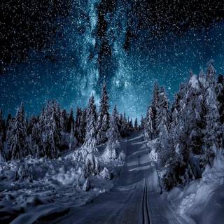 Winter road iPhone wallpaper