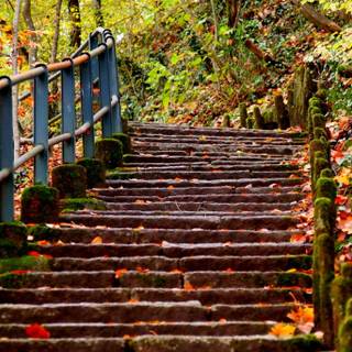 Autumn leaves stairs wallpaper