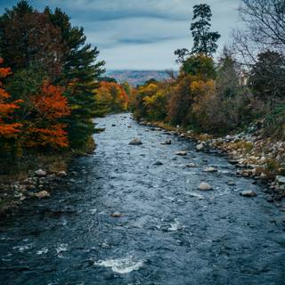 Autumn leaves river wallpaper