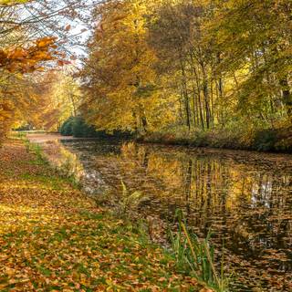 Autumn leaves river wallpaper