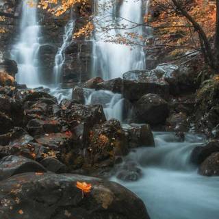 Autumn leaves river wallpaper