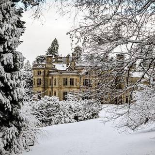 Dark academia winter desktop wallpaper