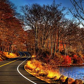 Autumn leaves river wallpaper