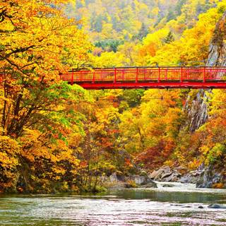 Autumn leaves river wallpaper