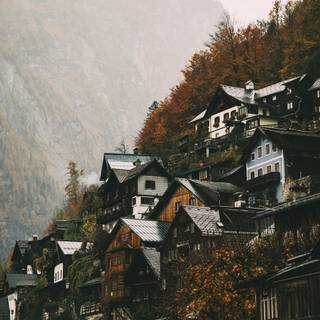 Dark academia winter desktop wallpaper