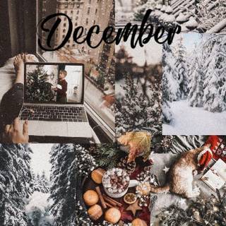 Christmas winter December wallpaper
