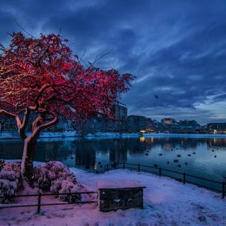 Winter city landspace wallpaper