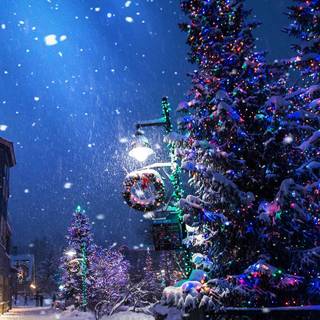 Christmas winter December wallpaper