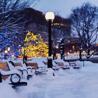 Winter city lights wallpaper