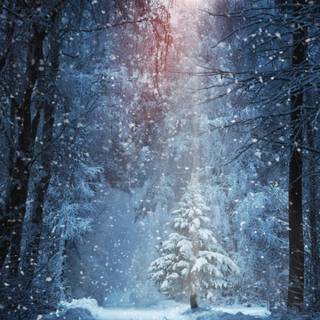 3440x1440 winter road wallpaper