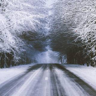 3440x1440 winter road wallpaper