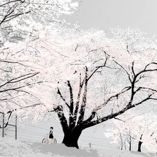 Anime winter trees wallpaper