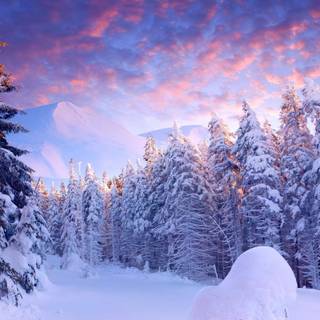 Laptop dark blue winter wallpaper