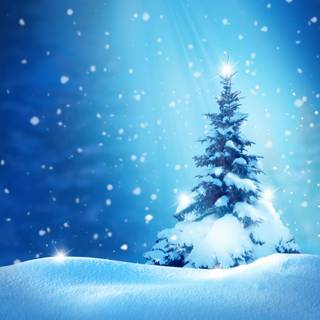 Winter Christmas New Year wallpaper