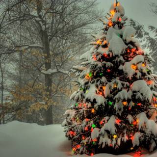 Winter Christmas New Year wallpaper