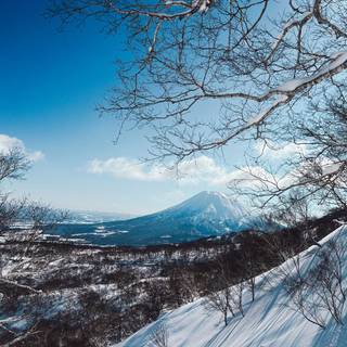 Laptop dark blue winter wallpaper