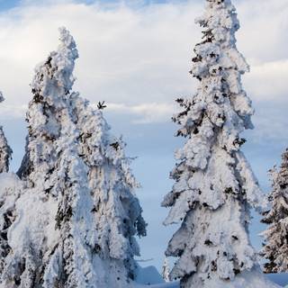 Winter Norway iPhone wallpaper