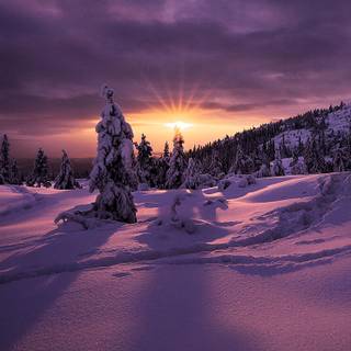Winter Norway iPhone wallpaper