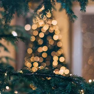 Artistic Christmas wallpaper