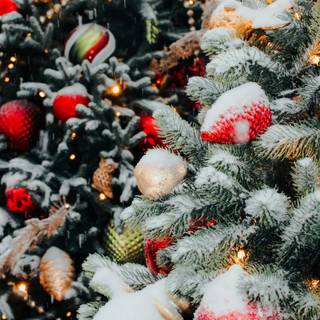 Red Christmas trees wallpaper