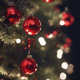 Red Christmas trees wallpaper