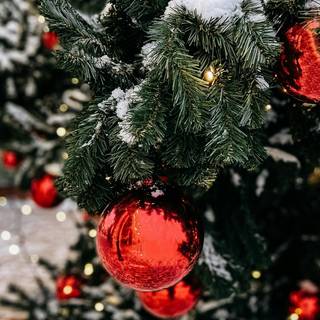 Red Christmas trees wallpaper