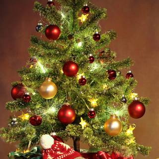 Red Christmas trees wallpaper