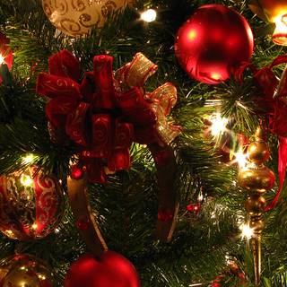 Red Christmas trees wallpaper