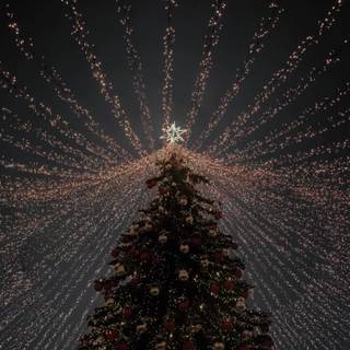 Christmas crazy wallpaper