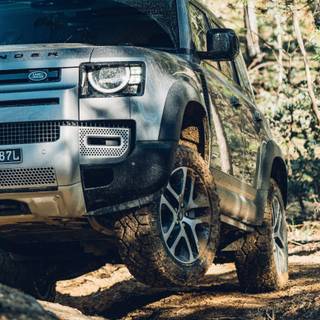 Defender mobile wallpaper