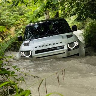 Defender mobile wallpaper