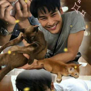 Nattawin Wattanagitiphat wallpaper