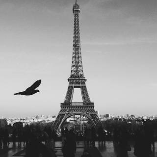 Dark Paris wallpaper