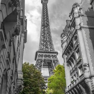 Dark Paris wallpaper